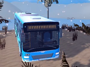 Water Bus Driver