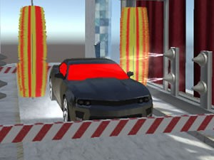 Sports Car Wash